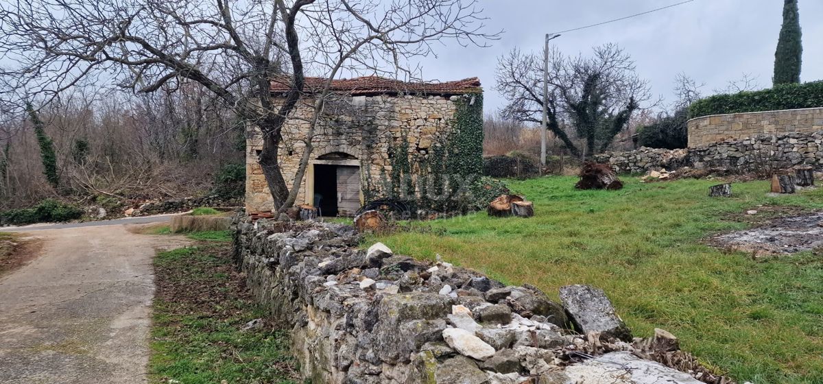 MOTOVUN