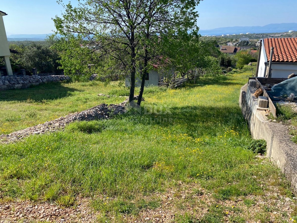 KRASICA
