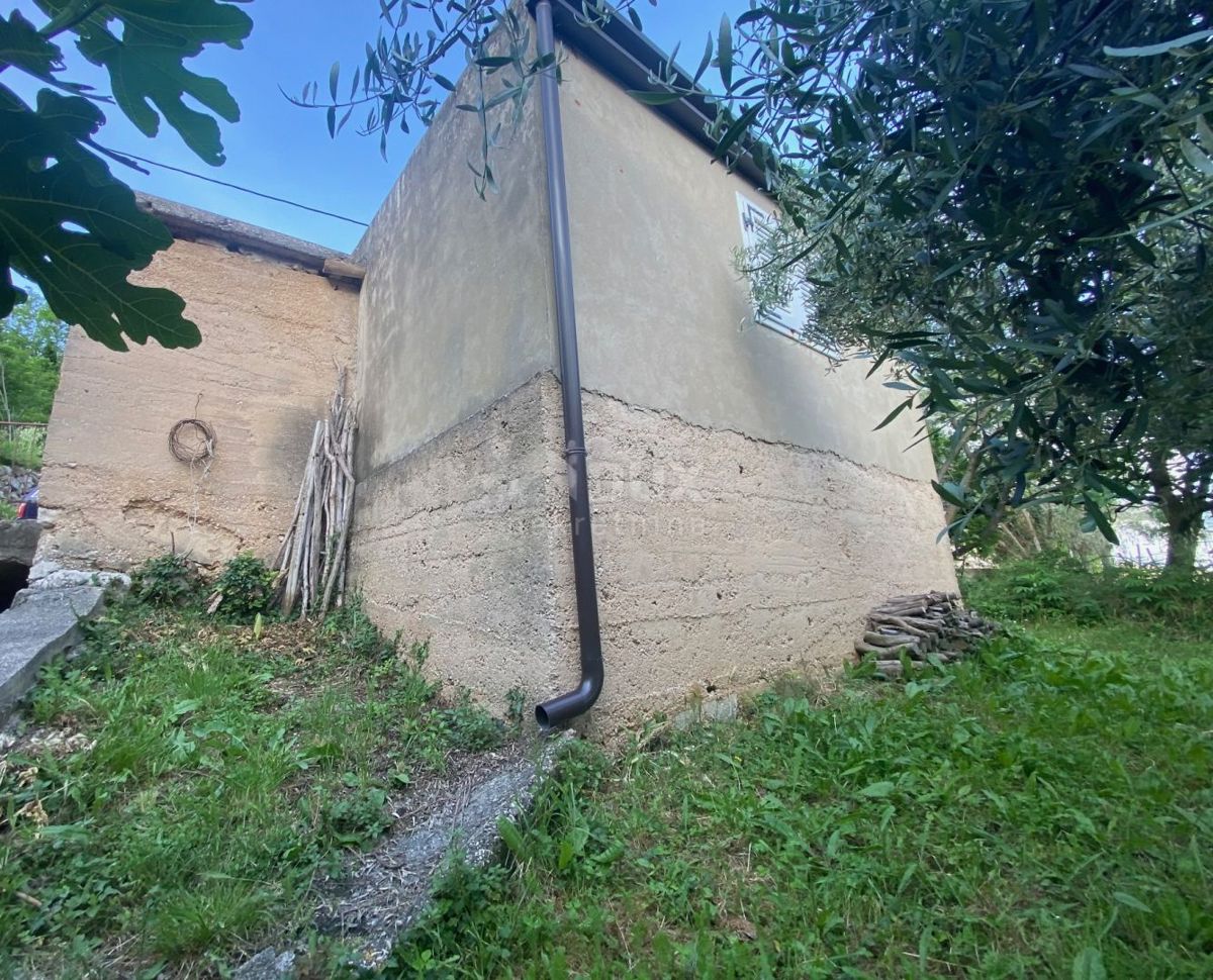 DRAGA BAŠĆANSKA
