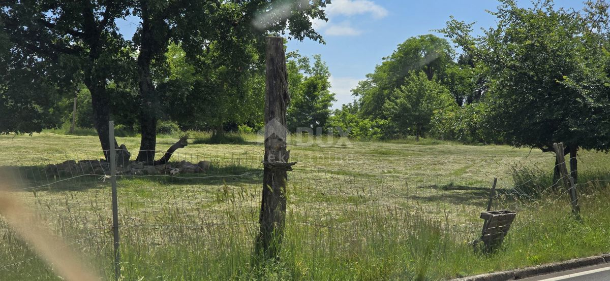 ŽMINJ