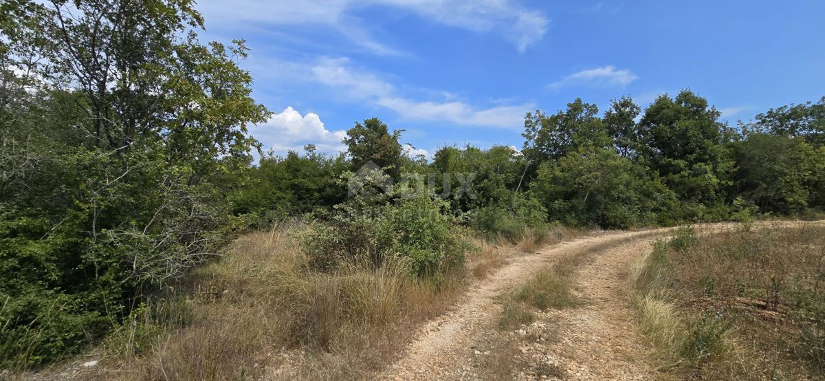 VODNJAN