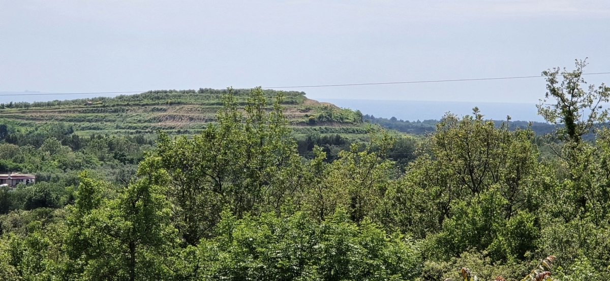 BUJE
