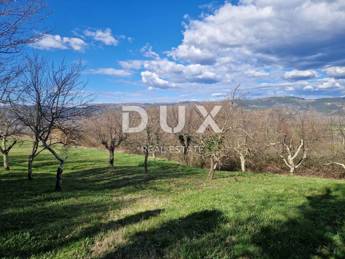 MOTOVUN