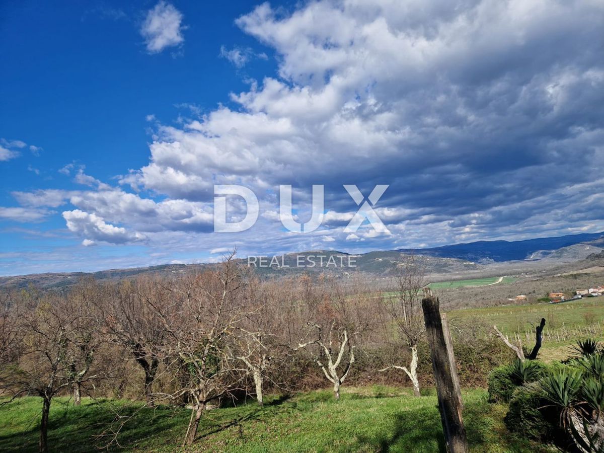 MOTOVUN