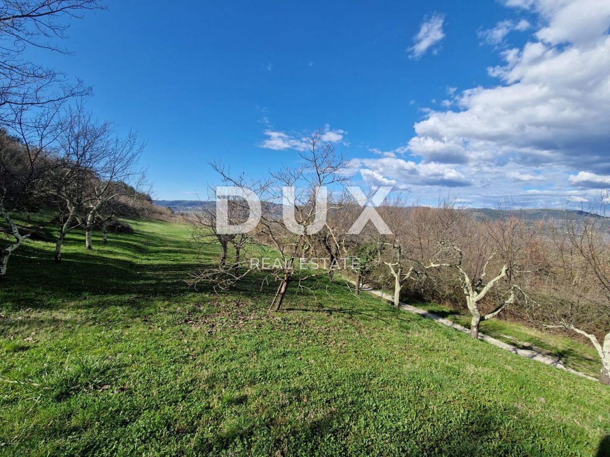 MOTOVUN