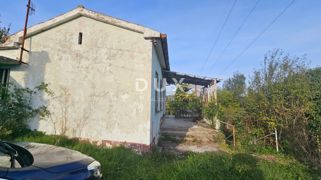 MIHOTIĆI