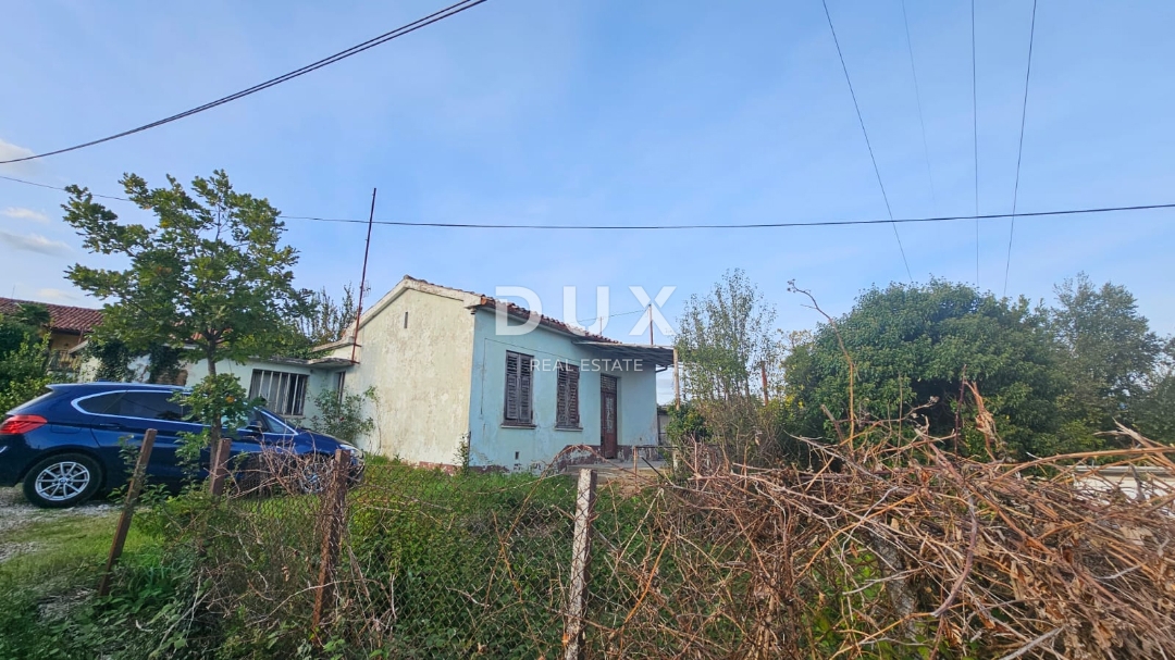 MIHOTIĆI