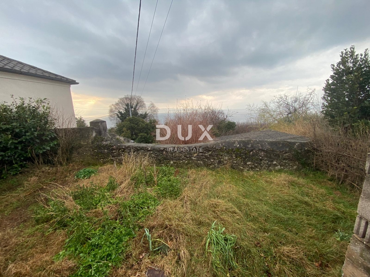 image 45