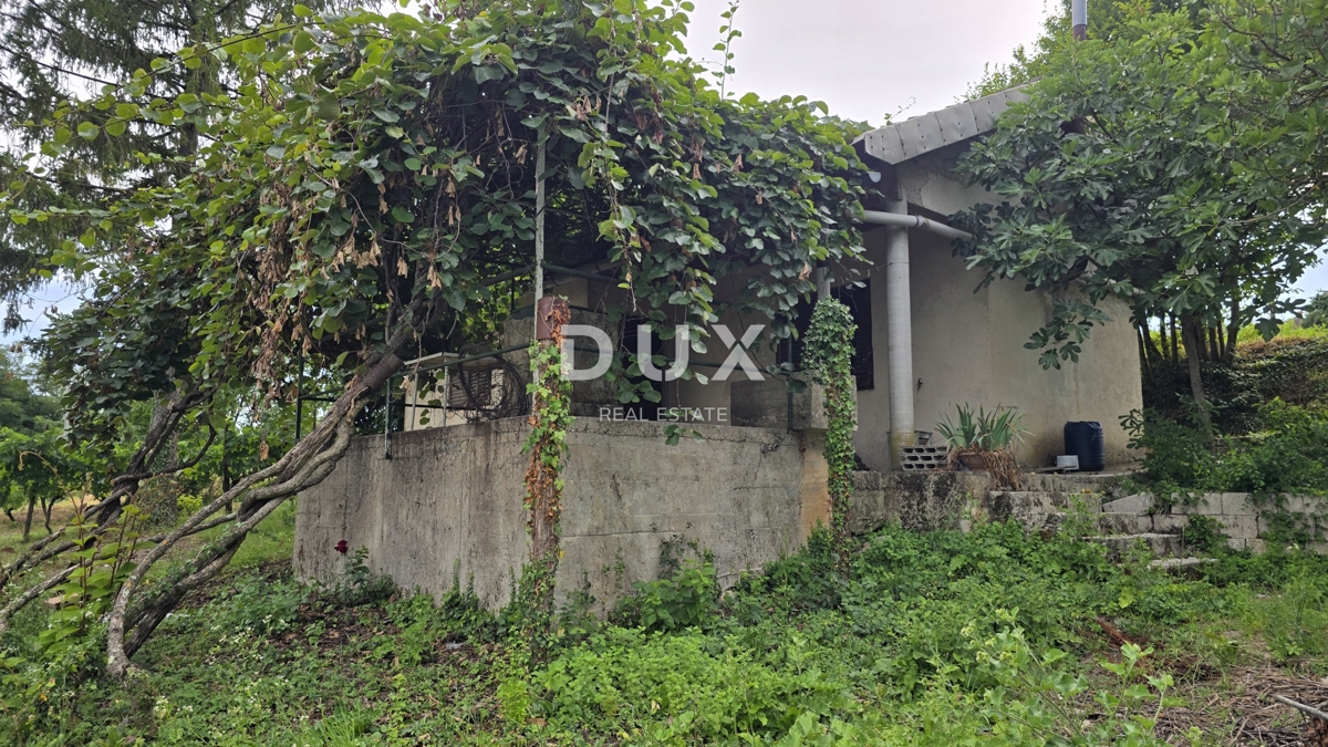 image 28
