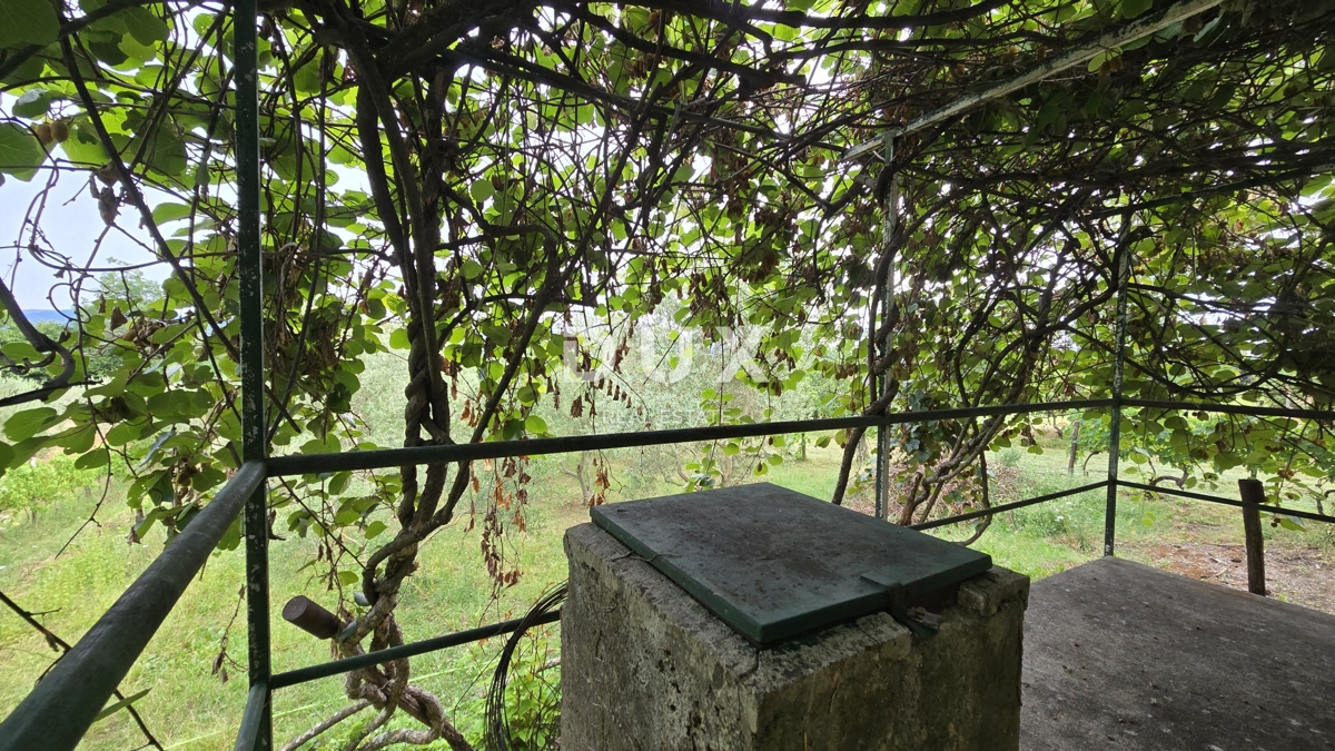 image 16