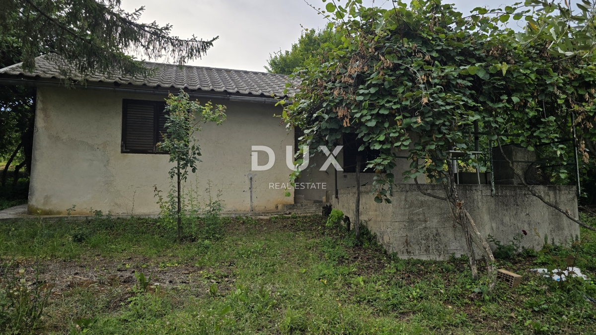 image 26