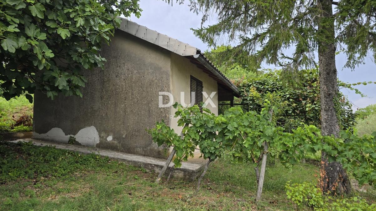 image 23