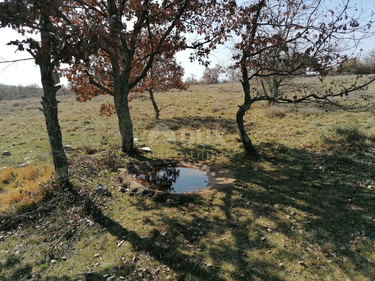 SVETI IVAN
