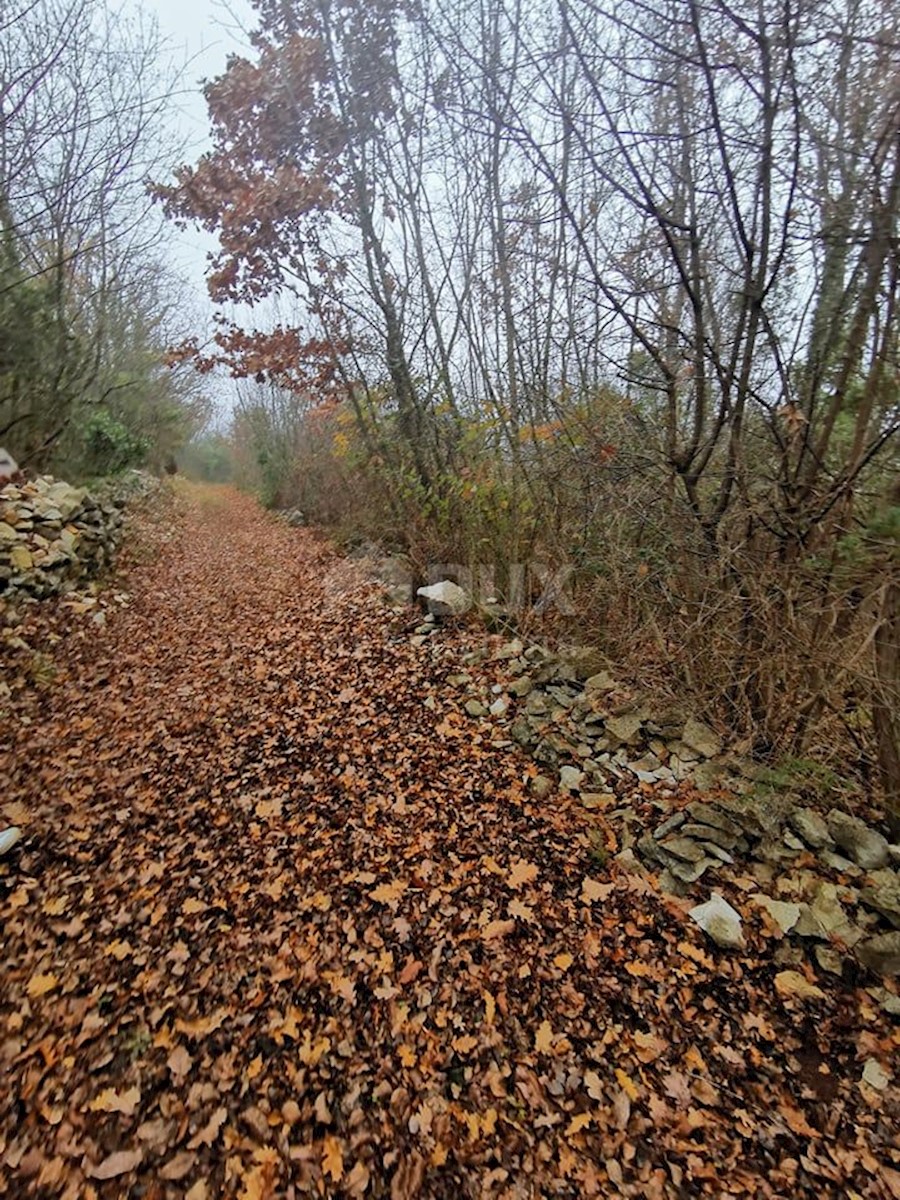 RAKALJ