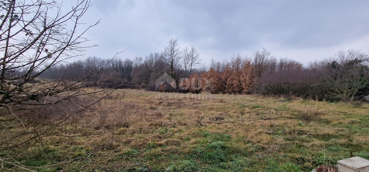 SVETI PETAR U ŠUMI