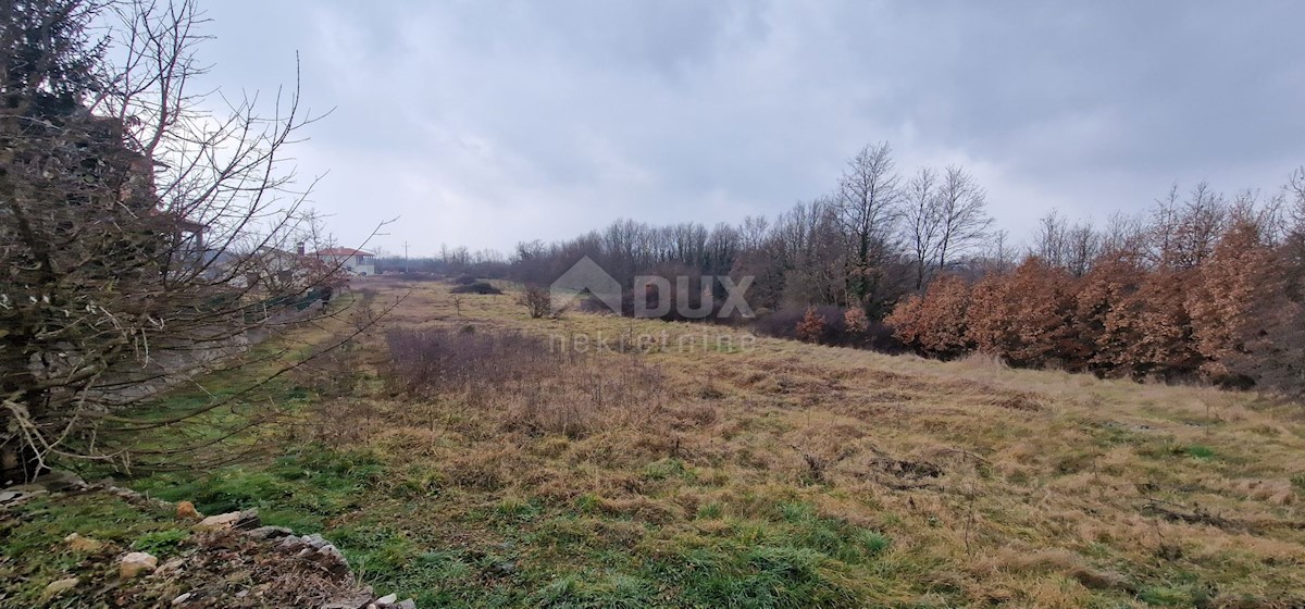 SVETI PETAR U ŠUMI