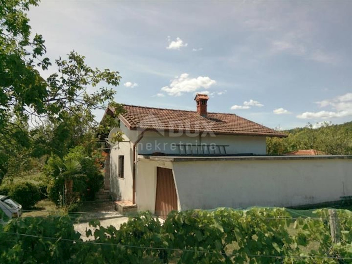 BOLJUN