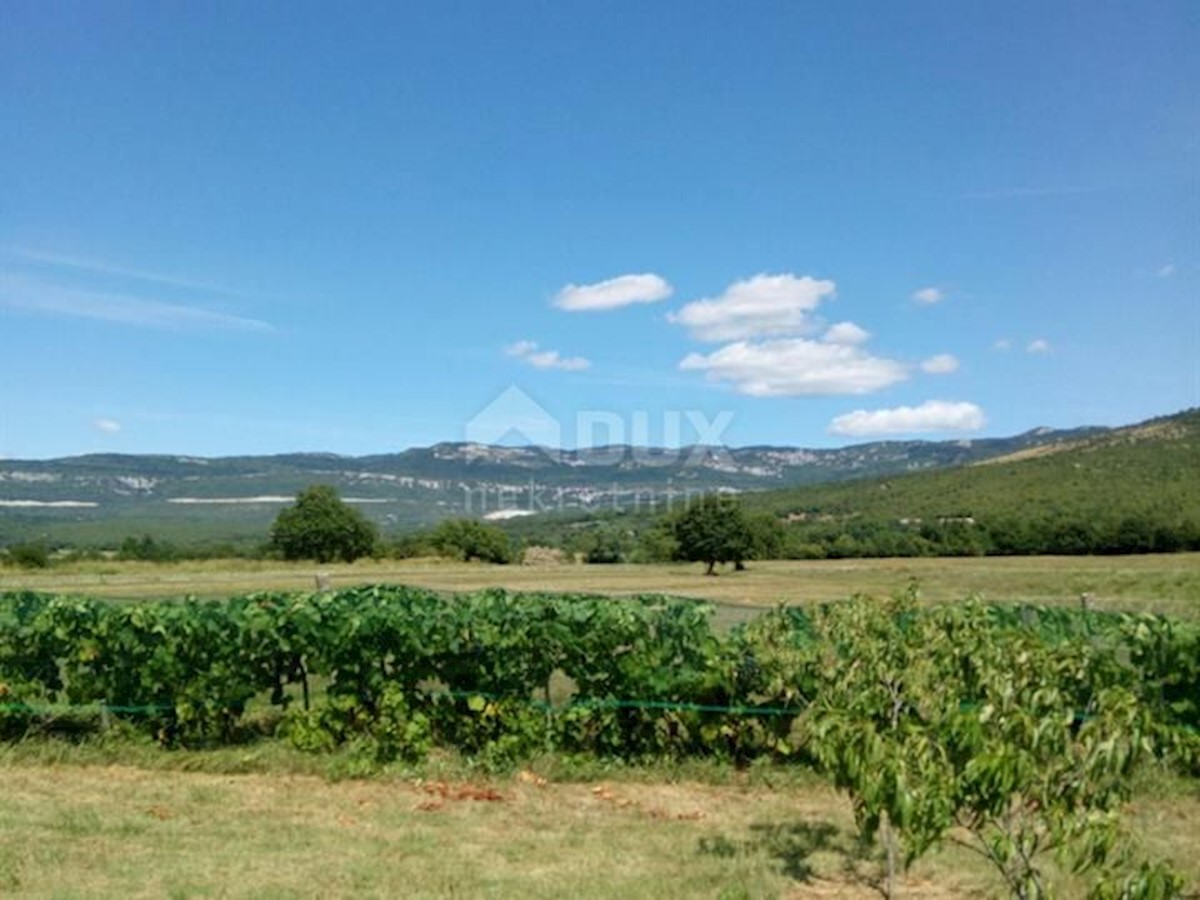 BOLJUN