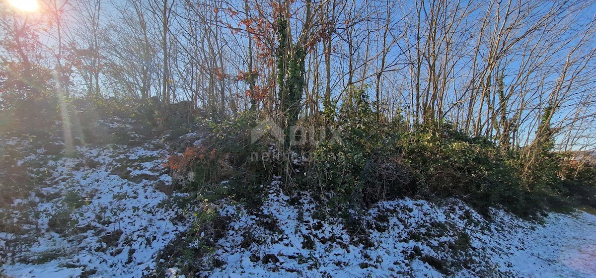 PIĆAN