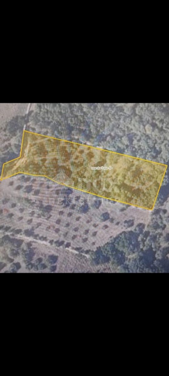 KRNICA
