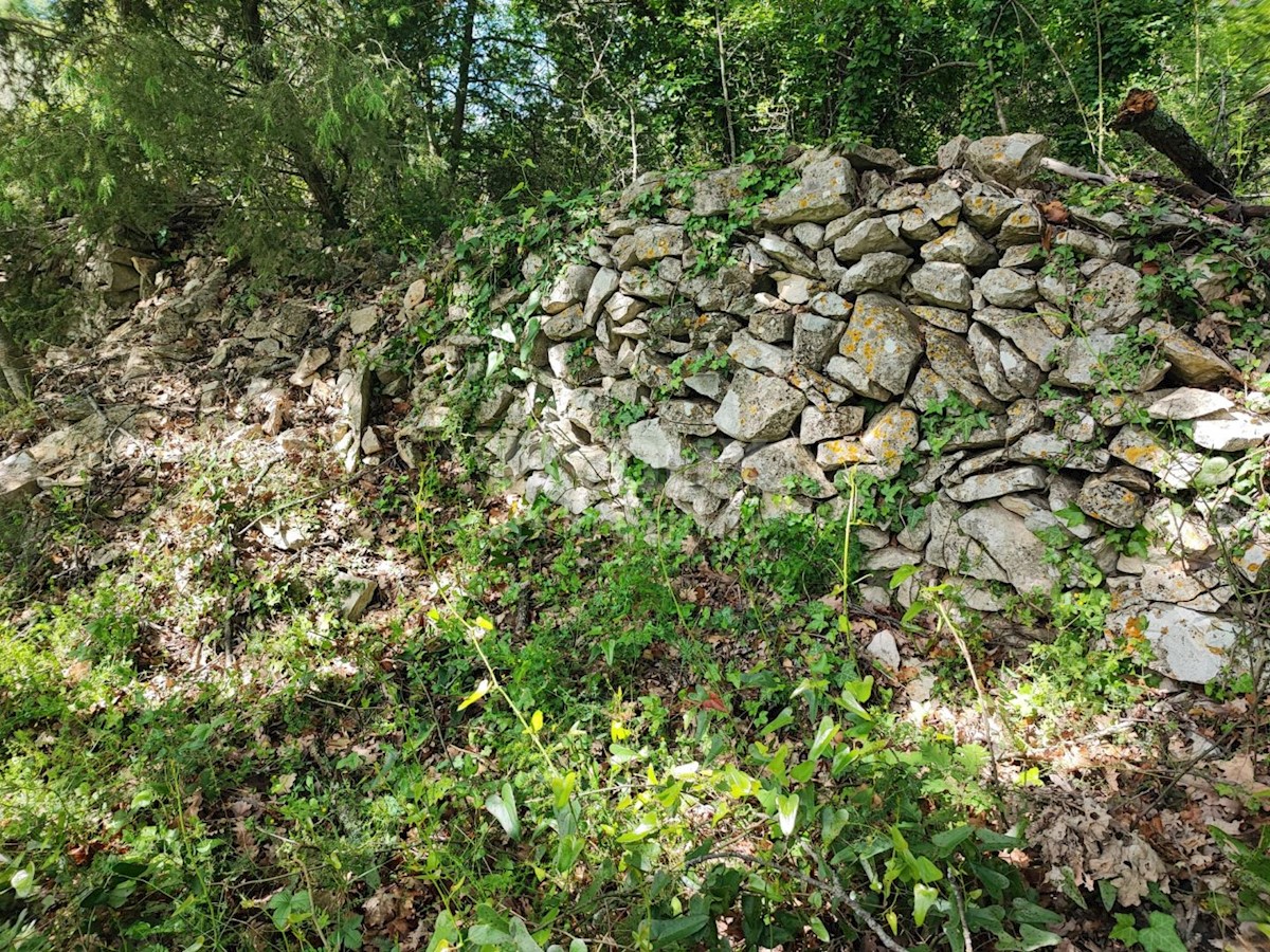 KRNICA