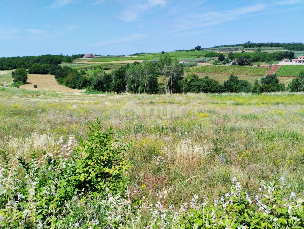 VIŽINADA