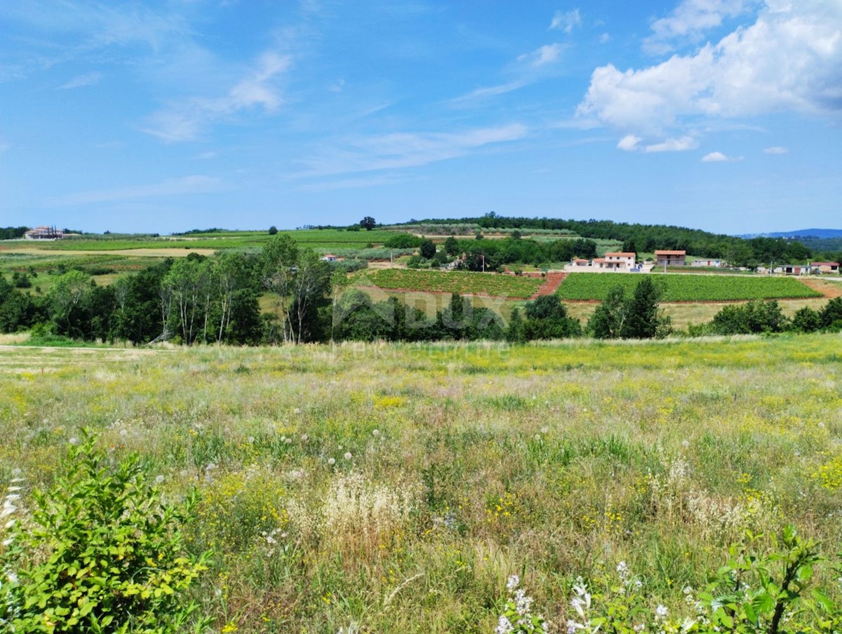 VIŽINADA