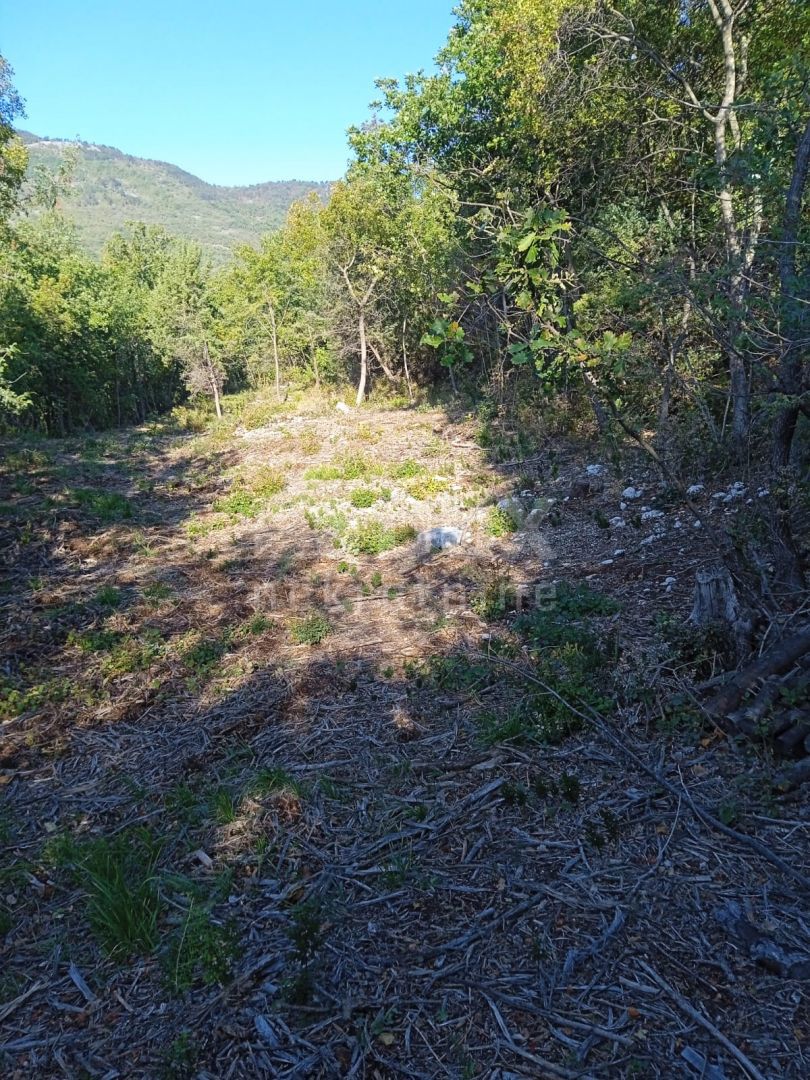 BRSEČ
