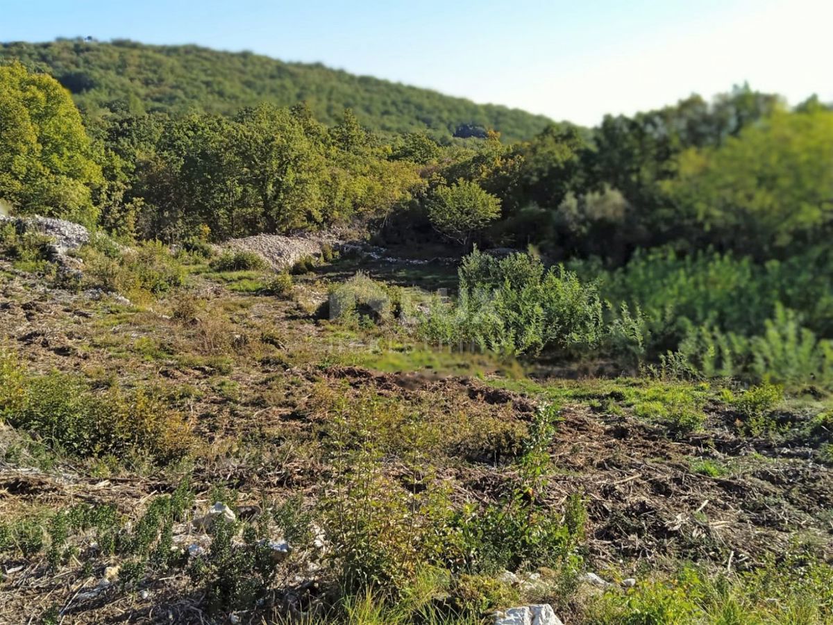 BRSEČ