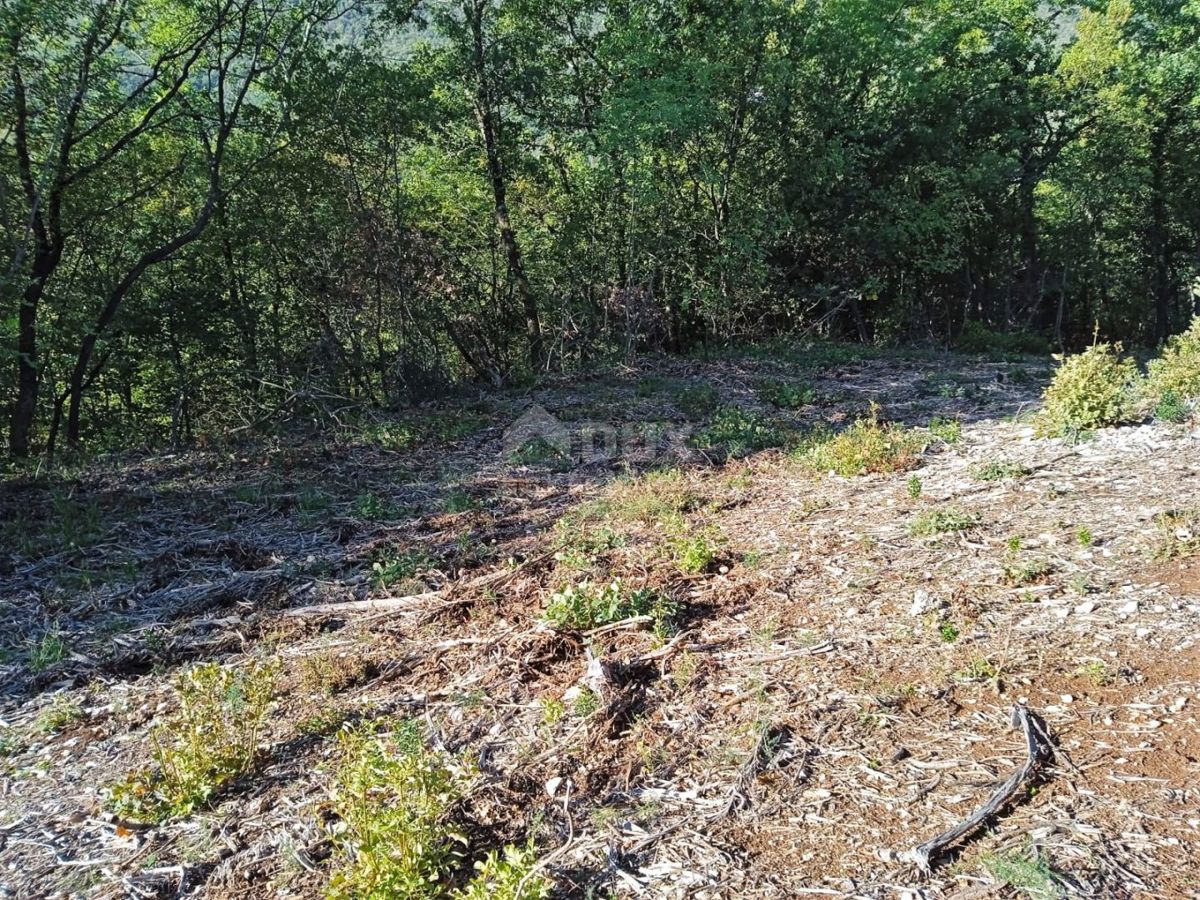 BRSEČ