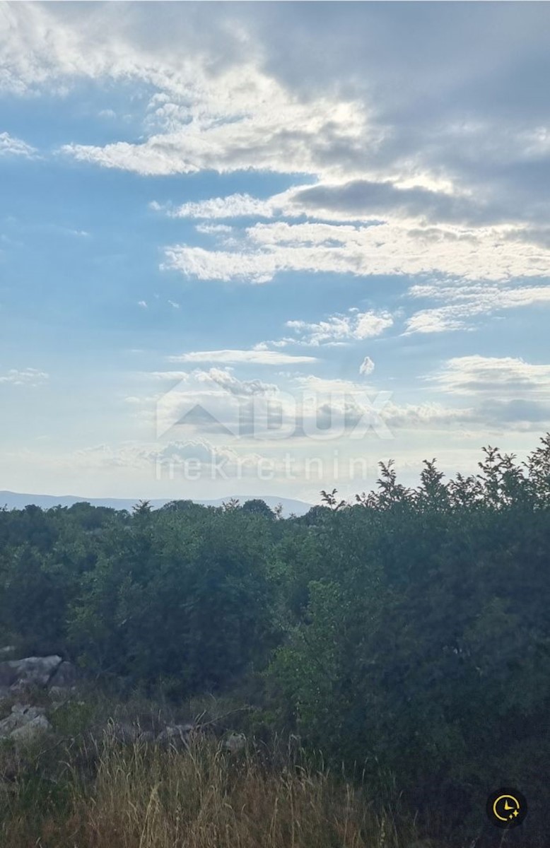 SMOKVICA KRMPOTSKA