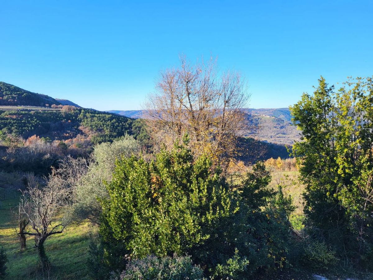 MOTOVUN