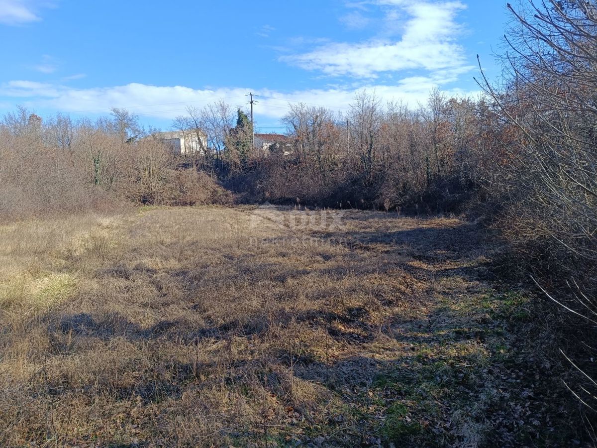 ŠTOKOVCI