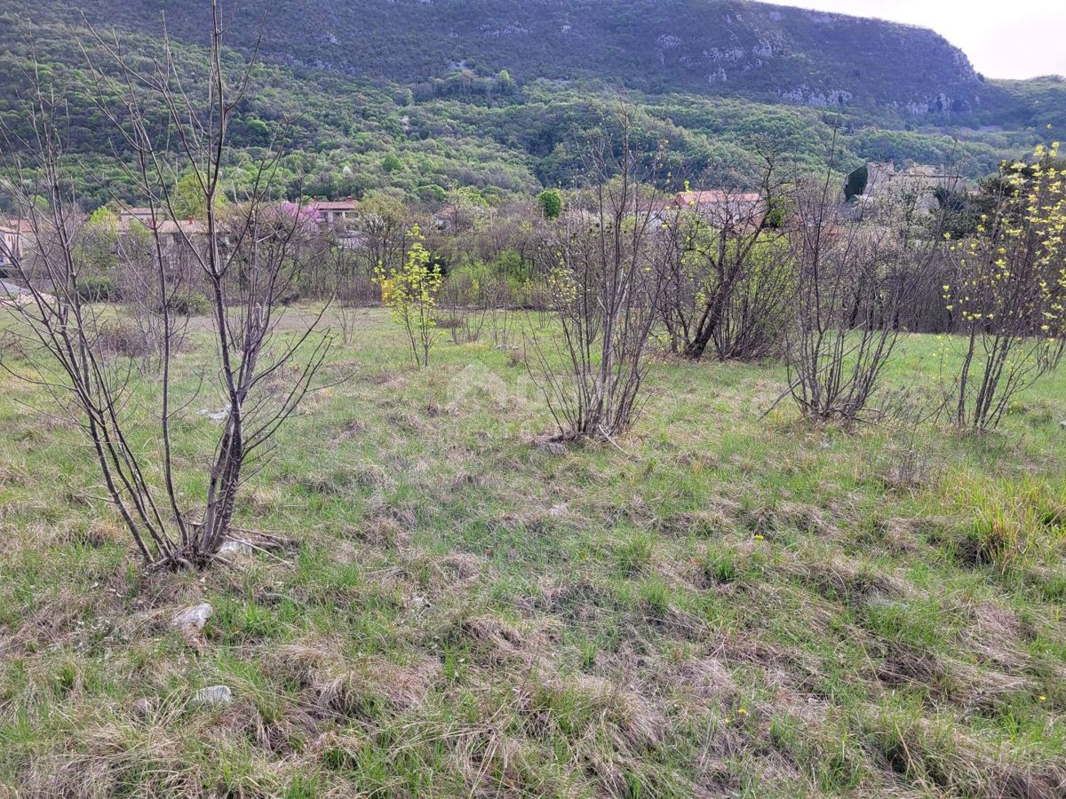 LUPOGLAV