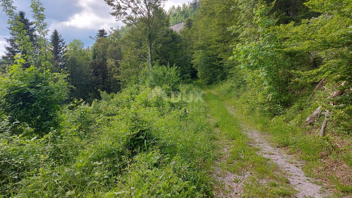 FUŽINE
