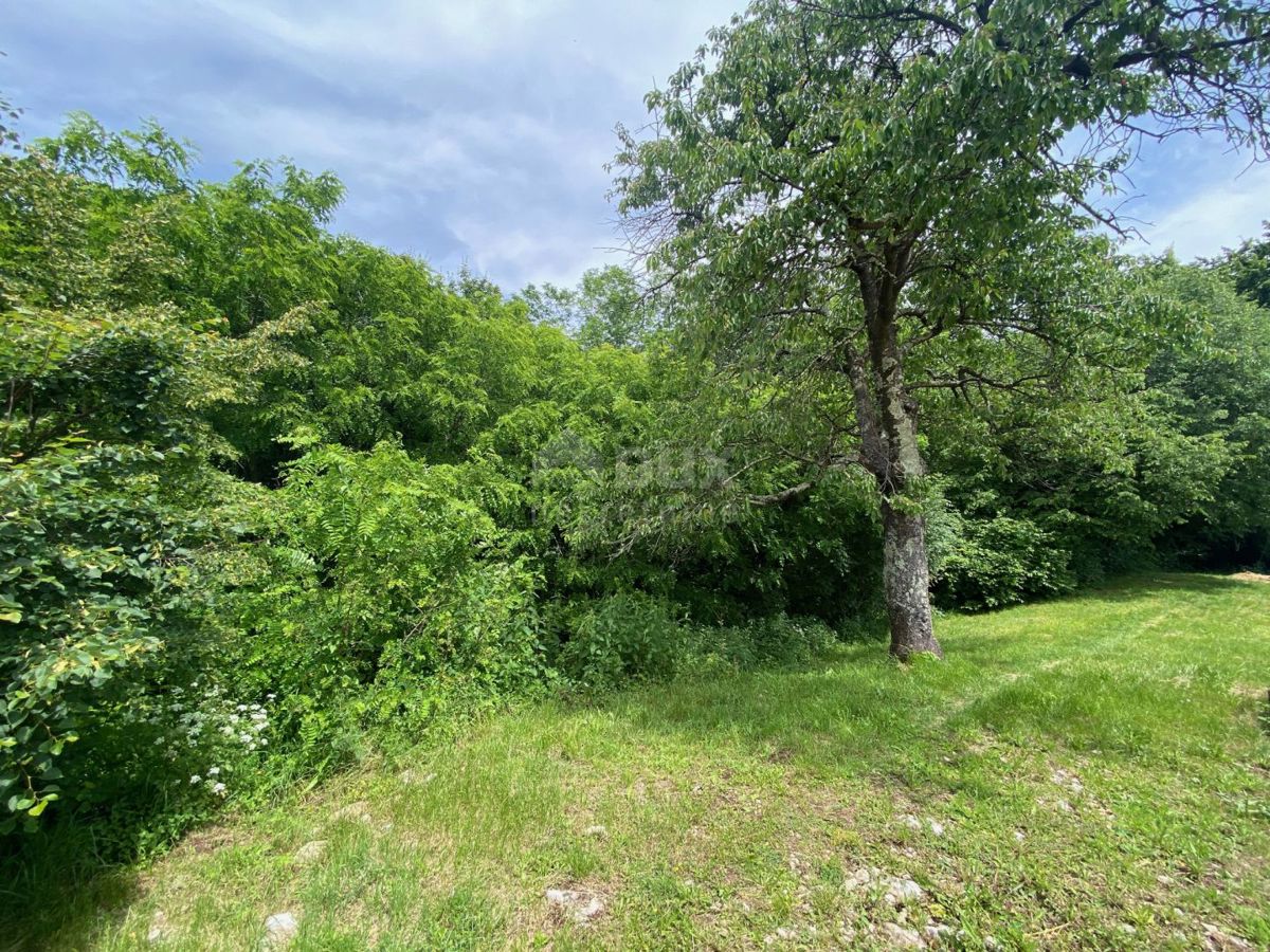 SARŠONI