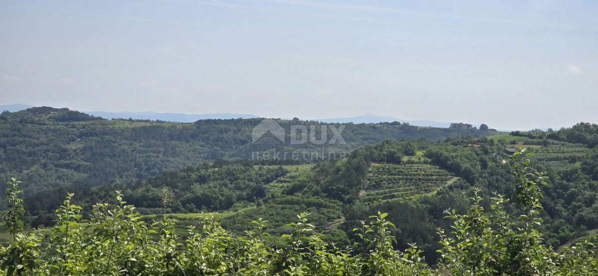 MOTOVUN