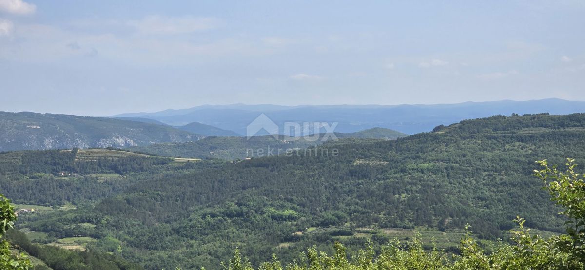 MOTOVUN