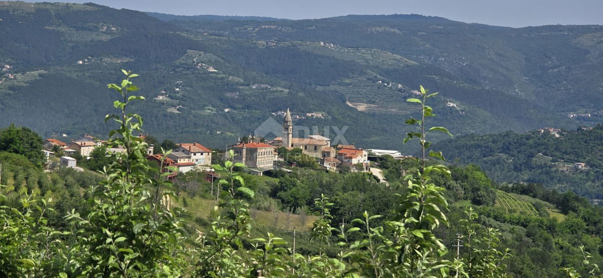 MOTOVUN