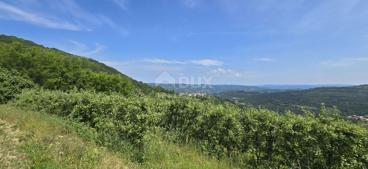 MOTOVUN