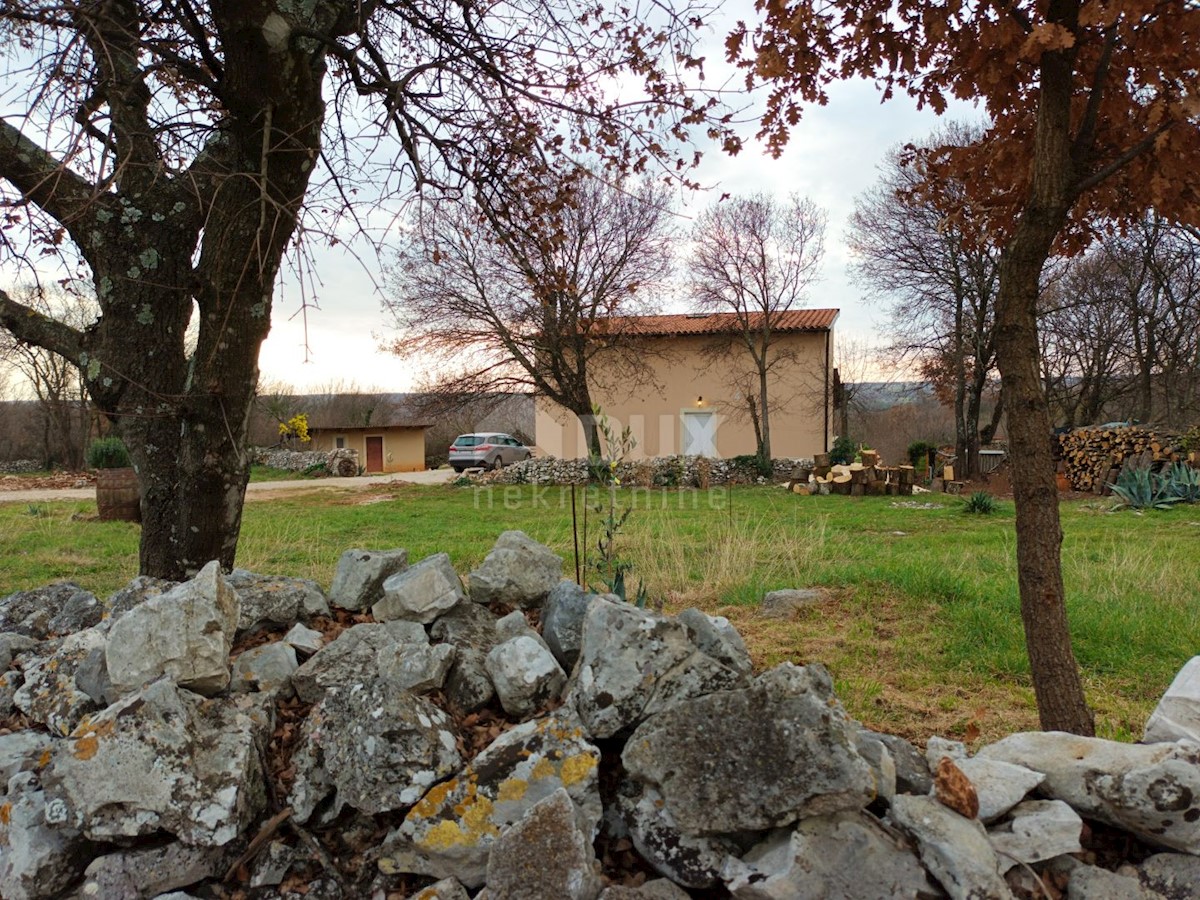 MUTVORAN