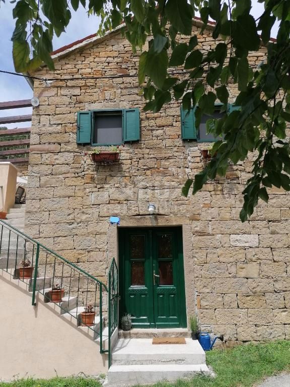 BUZET
