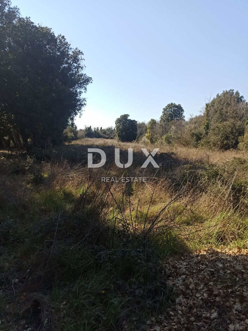 ŠIŠAN
