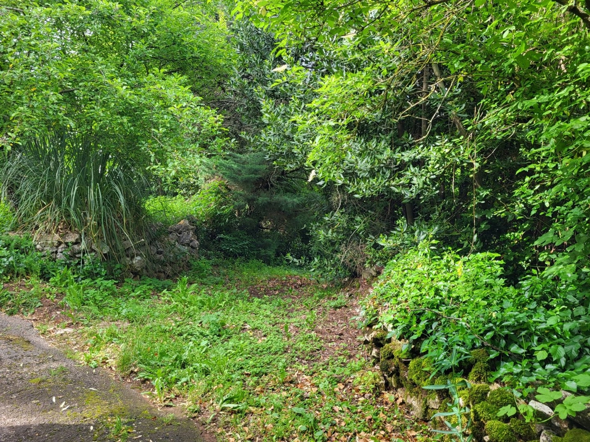 PIĆAN