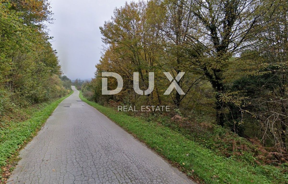 RUŠEVICA