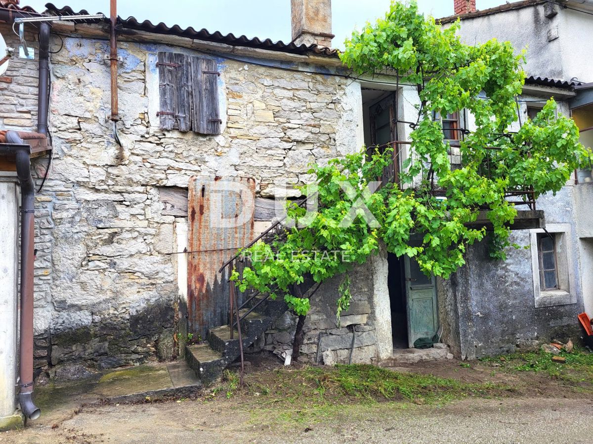 BUZET