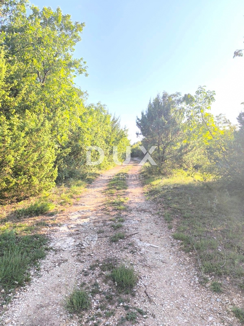 BUTKOVIĆI