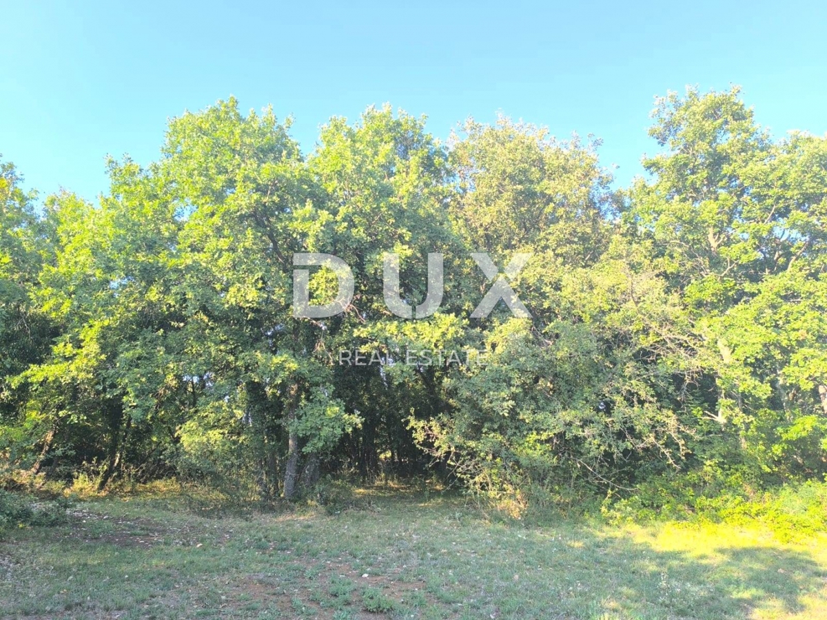 BUTKOVIĆI