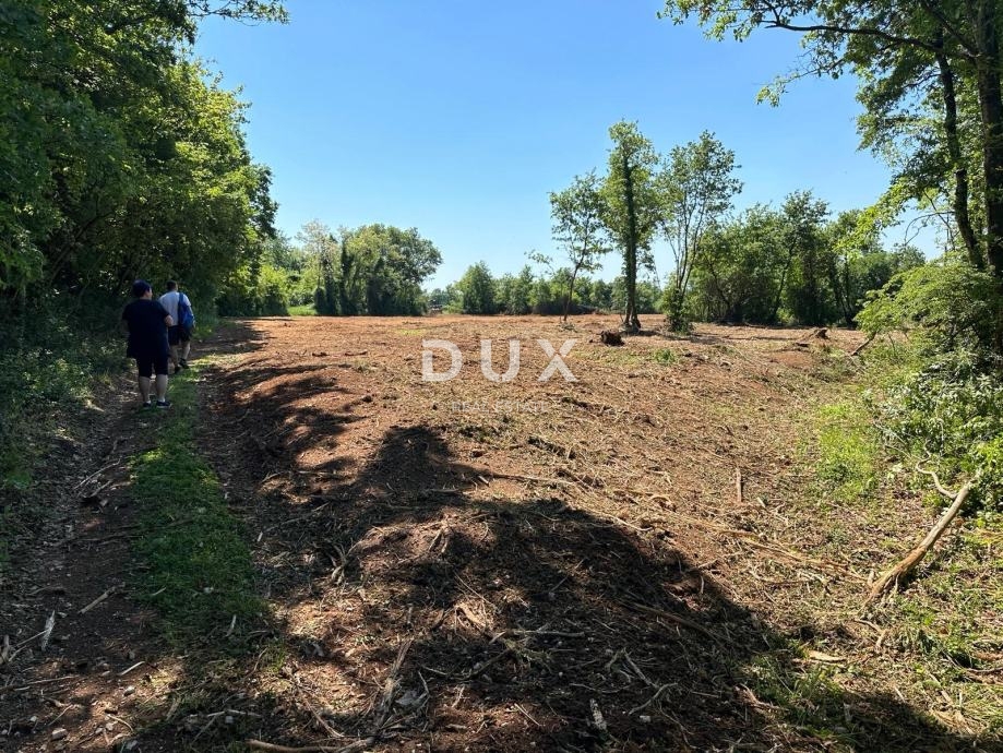 Участок LIŽNJAN, 76.800 €