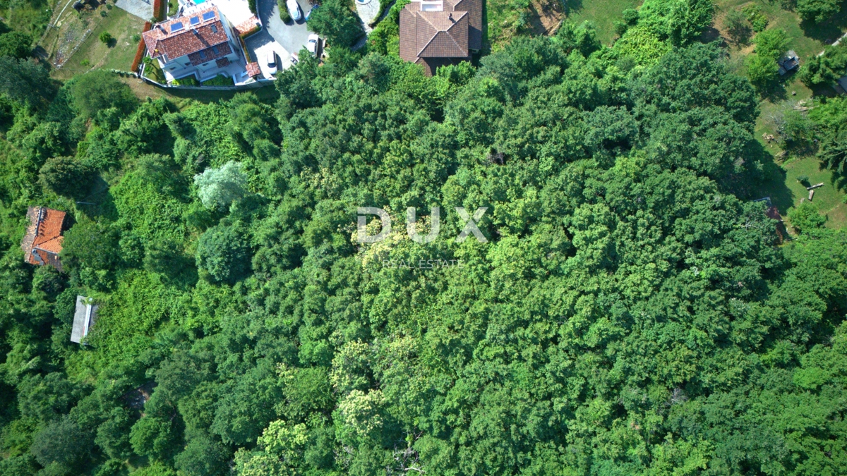 image 16